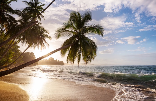 The photo of a beautiful Costa Rican beach with no people on it